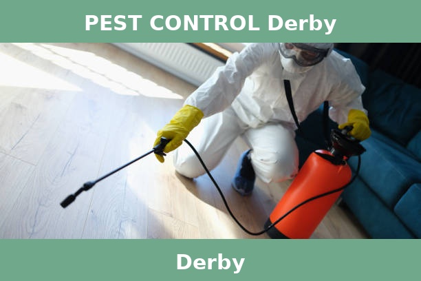 PEST CONTROL Derby